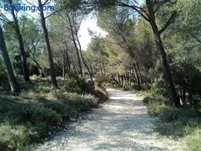 Single storey 40m² bordering pine forest and spa - Image 5