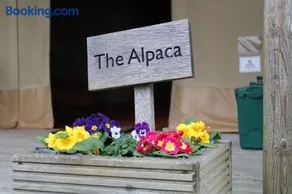 The Alpaca - Image 2