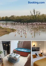 Villa l'Eden de Camargue- Spa et Nature - Image 2