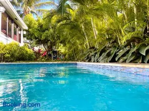 Experience Miami Magic: Tropical Pool Escape - Image 2
