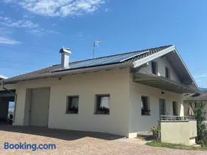 Mirtillo - Image 2
