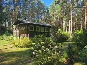 Aloha Summer Cottage - Image 1
