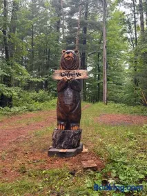 Camp Lake Bear - Image 2