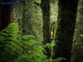 Serene and wonderful place to recharge and enjoy - Image 3