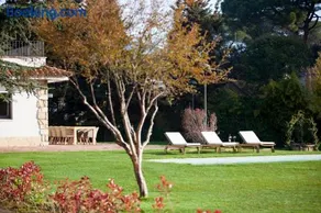 Can Cedre - Image 4