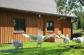 Peaceful Nature Escape Among Farm Animals - Image 1