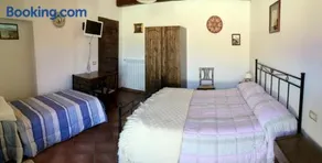 Ruviano La Torre - Image 2