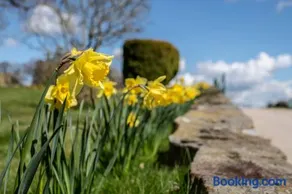 Nant Ucha Farm Holiday Cottages near Llangollen - Image 5