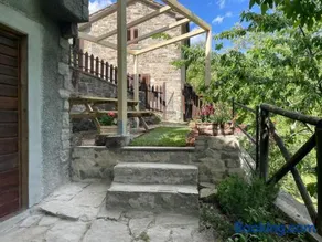 Quercus La Baita - Image 3