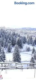 Casuta Schiorului Apuseni, Marisel Cluj - Image 2