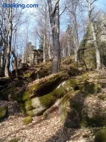 Lastovička - Image 4