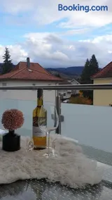 Boardingappartement Windeckblick, ruhige, zentrale Lage mit großem Südbalkon - Image 1