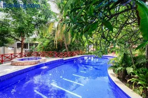 Pajaro de fuego vacation rentals Sayulita - Image 1