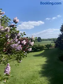 Sous Les Bruyères - Image 4