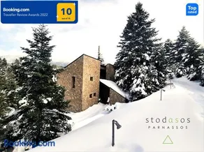 stodasos - Image 3