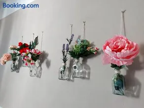 Grape's Home - Image 2