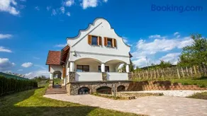 VIVAZA Villa Szigliget - Image 1