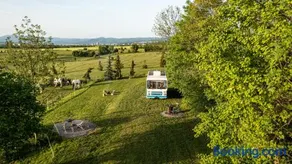 Bus Ikarus - Image 1