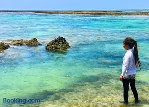 White Turtle Villa -Ishigaki Blue Retreat - Image 5