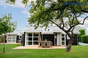 Minicamping de Boshoek - Image 1