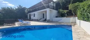 El Pájaro - Image 1