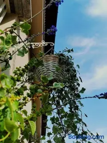 Il Cortile - Image 3