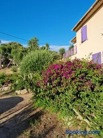 L'ortu di Quaprice - Image 3