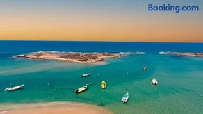 Dor on the beach - Image 1