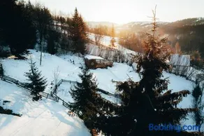 TogetherNest - Oldie - Image 4