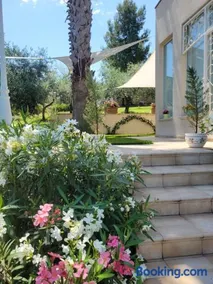 Casale Angela - Image 2