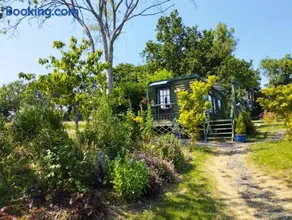 Peaceful ensuite lakeside cabin 'Tench' - Image 5