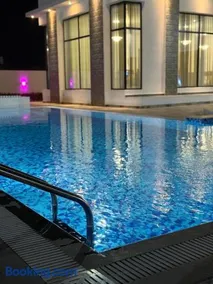 Al REEF - Image 3