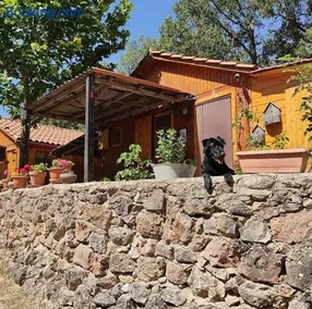Cabañas Camping Sierra de Peñascosa - Image 2