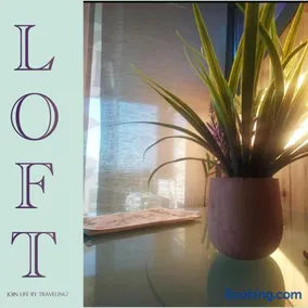 Loft - Image 1