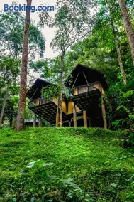 Song Of The Trees Jungle Experience Stay Kutitkanam by LexStays - Image 1
