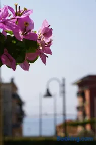 Appartamento LE CONCHIGLIE Monterosso al mare - Image 4