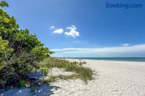Sunny Days on LBK Open Tomorrow! - Image 4