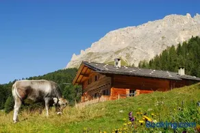 Thaleralm - Image 1