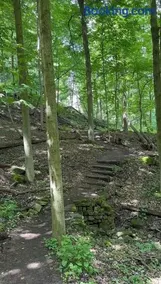 Licensed-8 Acre Estate, Trail & Stream with 3 Beds - Image 4