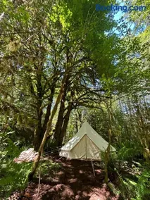 Olympic Glamping - Image 3