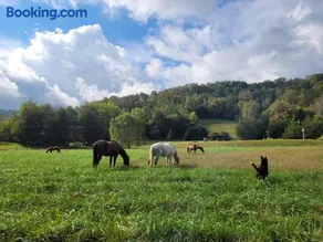 FireFly Acres - Image 5