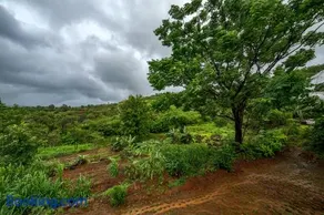 SaffronStays Amaltash - Image 3