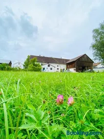 Bauernhaus am Sallingbach - Image 2