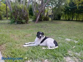 Sitio Serra e Mar - Image 3