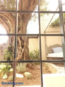 Vila Iremia - Image 3