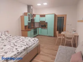 Apartmán IRIS Poděbrady - Image 3