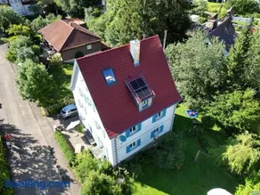 ZwergDackelAdlerHirsch - Image 4