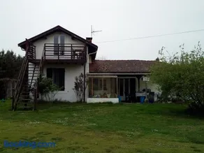 Pedro's garden - Image 1