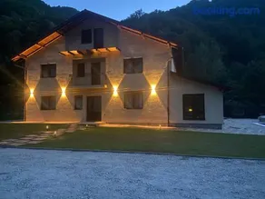 Vila Mișu - Image 3