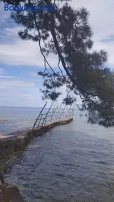 Mio Mare - Image 4